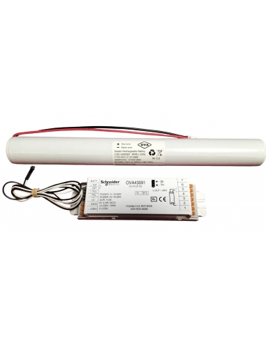 SCHNEIDER OVA43091 6V 4,5Ah Batteria...