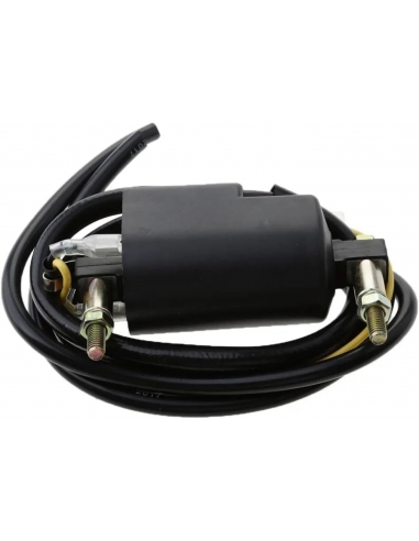 Bobina Accensione Moto Per CB750...