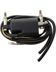 Bobina Accensione Moto Per... 2