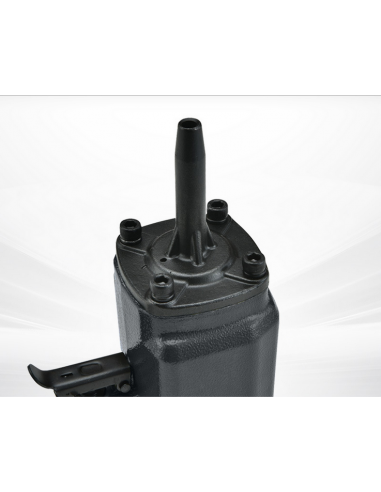 DBM Levachiodi professionale...