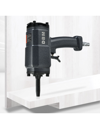 DBM Levachiodi professionale...