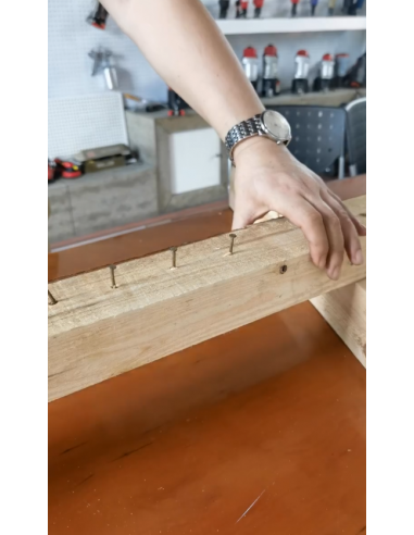 DBM Levachiodi professionale...