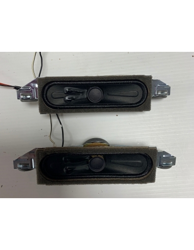 Altoparlanti DYS 30077250 8R 10W...