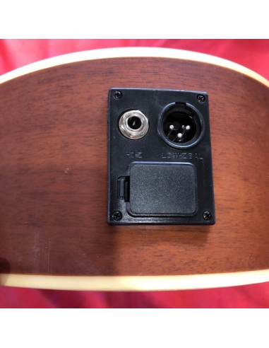 Chitarra acustica DeSalvo DS... Chitarra acustica DeSalvo DS...