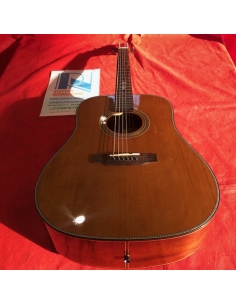 Chitarra acustica DS AG219...