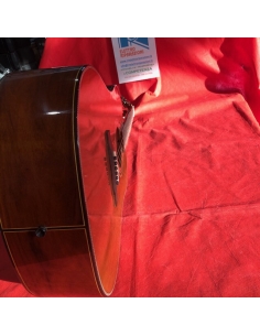 Chitarra acustica DS AG219... 2