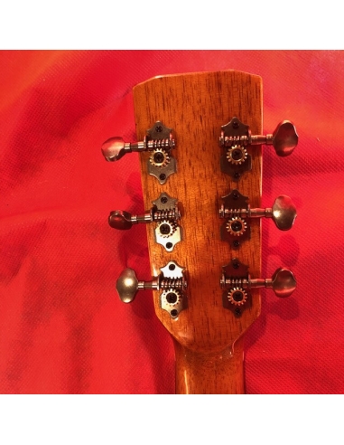 Chitarra acustica DS AG219 DeSalvo... Chitarra acustica DS AG219 DeSalvo...