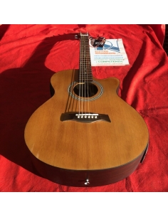 Chitarra acustica DeSalvo...