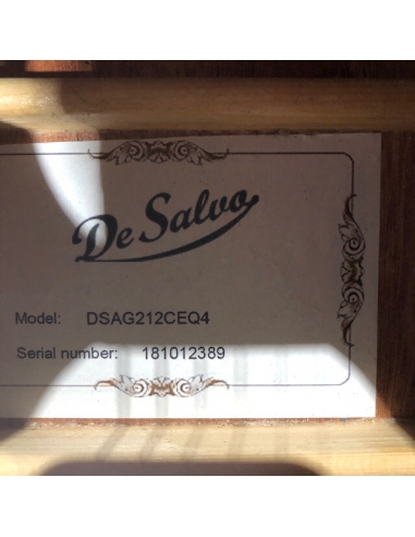 Chitarra Acustica elettrificata... Chitarra Acustica elettrificata...