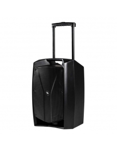 Cassa amplificata 400W a...