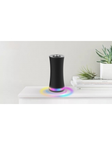 Altoparlante intelligente portatile...