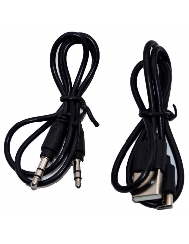 Altoparlante intelligente portatile...