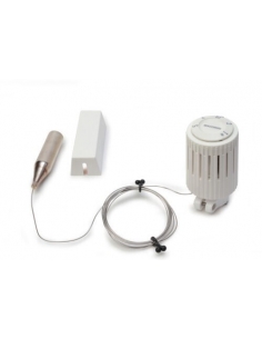 GIACOMINI R462 Testa...