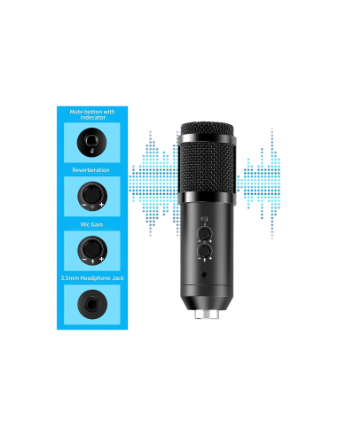 LifeBee Kit Microfono Condensatore... LifeBee Kit Microfono Condensatore...