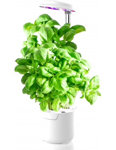 Indoor hydroponic garden...