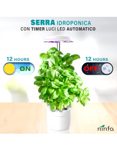 Indoor hydroponic garden... 2