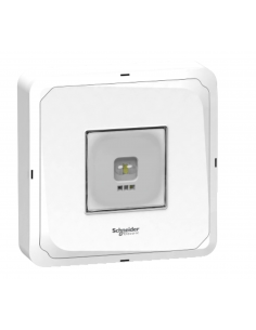 OVA48905 LAMPADA DI...