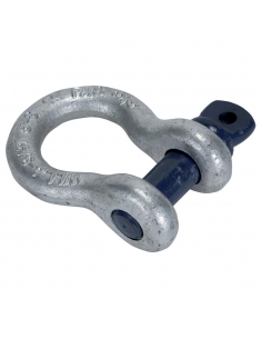 RCF SHACKLE TTL33-TTL31...