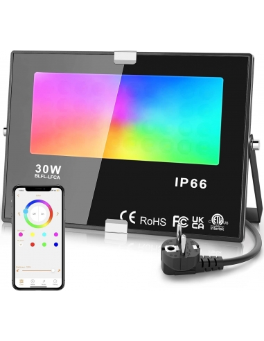 Faretto LED da Esterno RGB 30W...