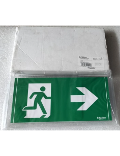 Segnale Uscita di Emergenza...