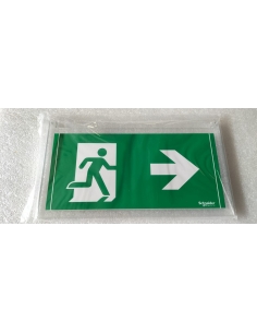 Segnale Uscita di Emergenza... 2