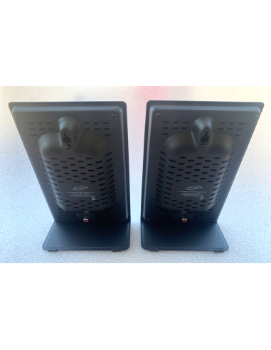 2 Casse Teac NXT Altoparlanti a...