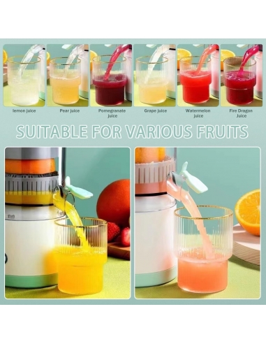 Zebbyee YZJ-001, Estrattore di Succo...