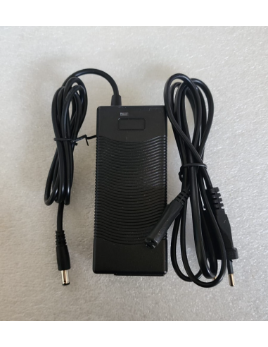 Topchargeur FY2942000 Caricabatterie...