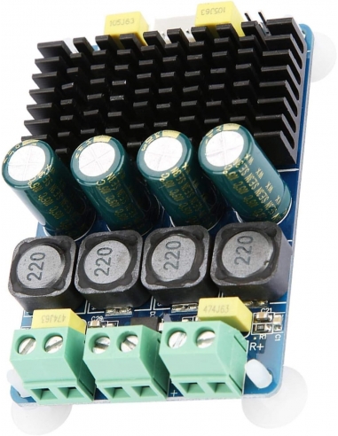 Tyenaza TDA7498 Scheda Amplificatore,...