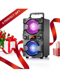 TENMIYA, A20 Altoparlante... 2