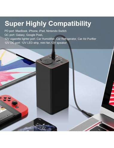 RoyPow C86 Caricatore portatile da...