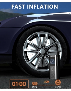 SERVOMASTER SM02... 2