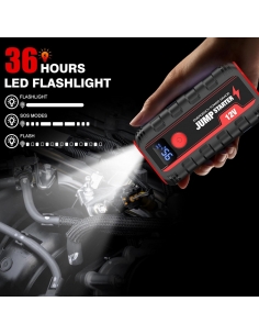 Ginarelo Booster Avviamento... 2