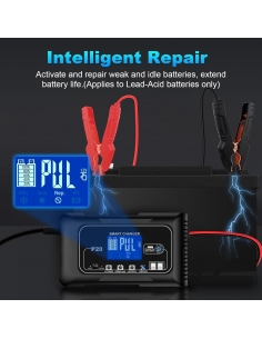 HTRC 20P Carica Batteria... 2