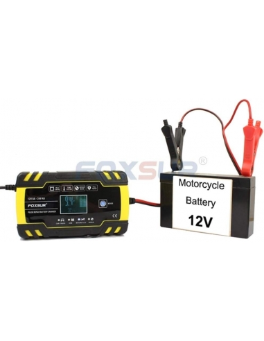 FOXSUR 4A Carica Batteria per Auto...