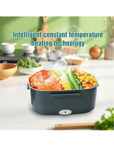 Lunch Box Elettrico Portatile...