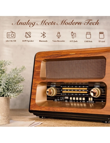 PRUNUS J-199 Radio Vintage Portatile...