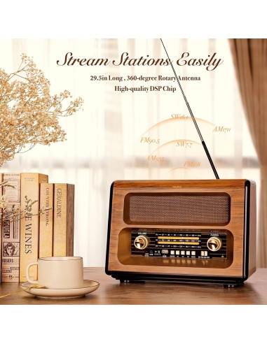 PRUNUS J-199 Radio Vintage Portatile...