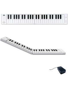 Pianola 49 Tasti Sensibili...