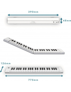 Pianola 49 Tasti Sensibili... 2