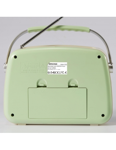 Radio portatile AM/FM a transistor...