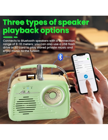 Radio portatile AM/FM a transistor...