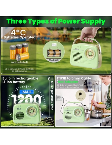 Radio portatile AM/FM a transistor...