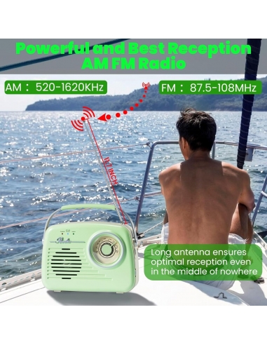 Radio portatile AM/FM a transistor...