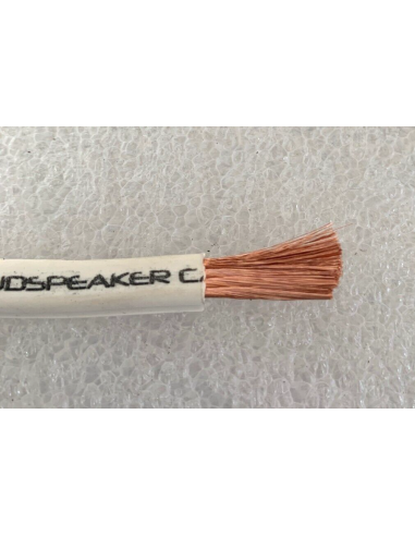 Cavo speaker piattina altoparlanti...