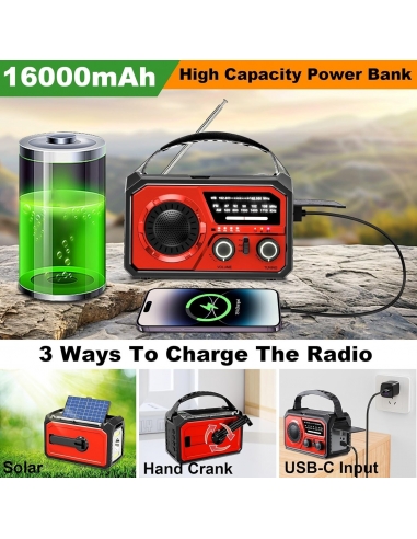 Radio Torcia di emergenza H21 a...