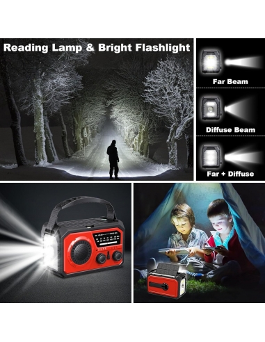 Radio Torcia di emergenza H21 a...