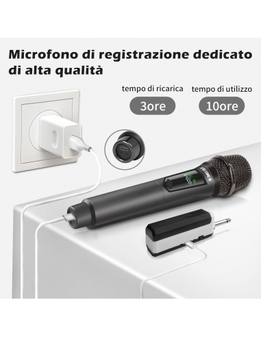 Talomen K60-2 kit 2 Microfoni...