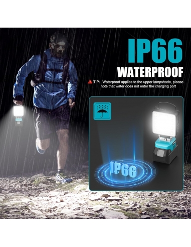 LIVOWALNY ZP25 Lampada LED...