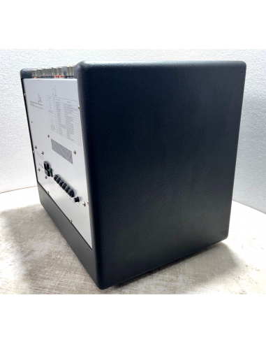 EKO XA50D Amplificatore Combo 50W per...